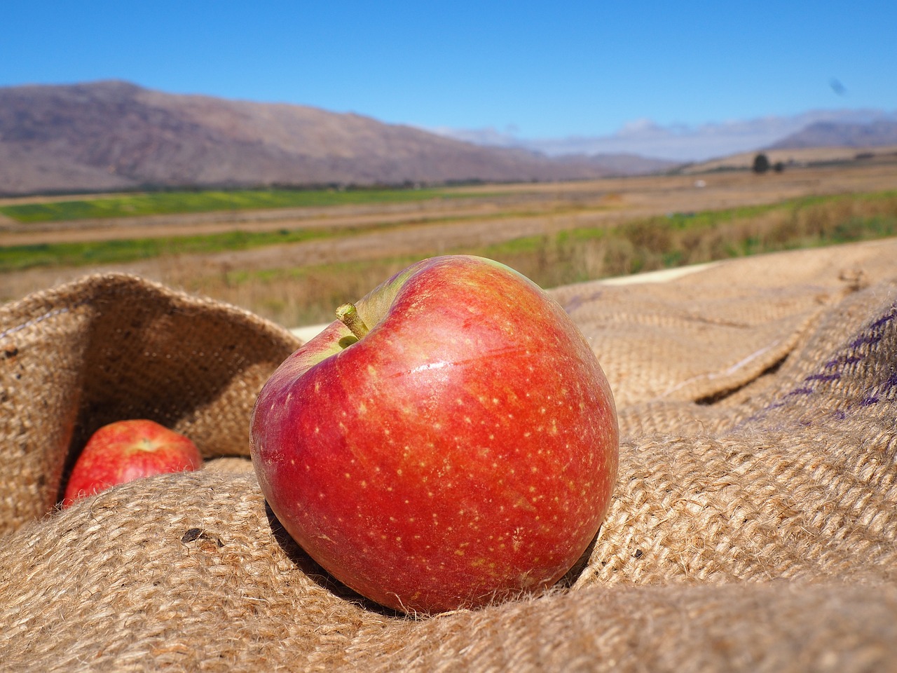 The Mythology and Legacy of Ceres, the Roman Goddess of Agriculture