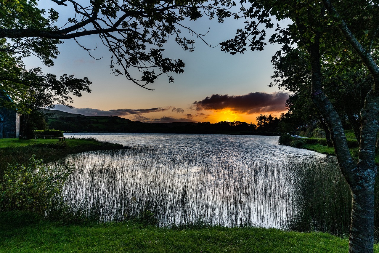 The Tragic Tale of the Children of Lir in Irish Folklore