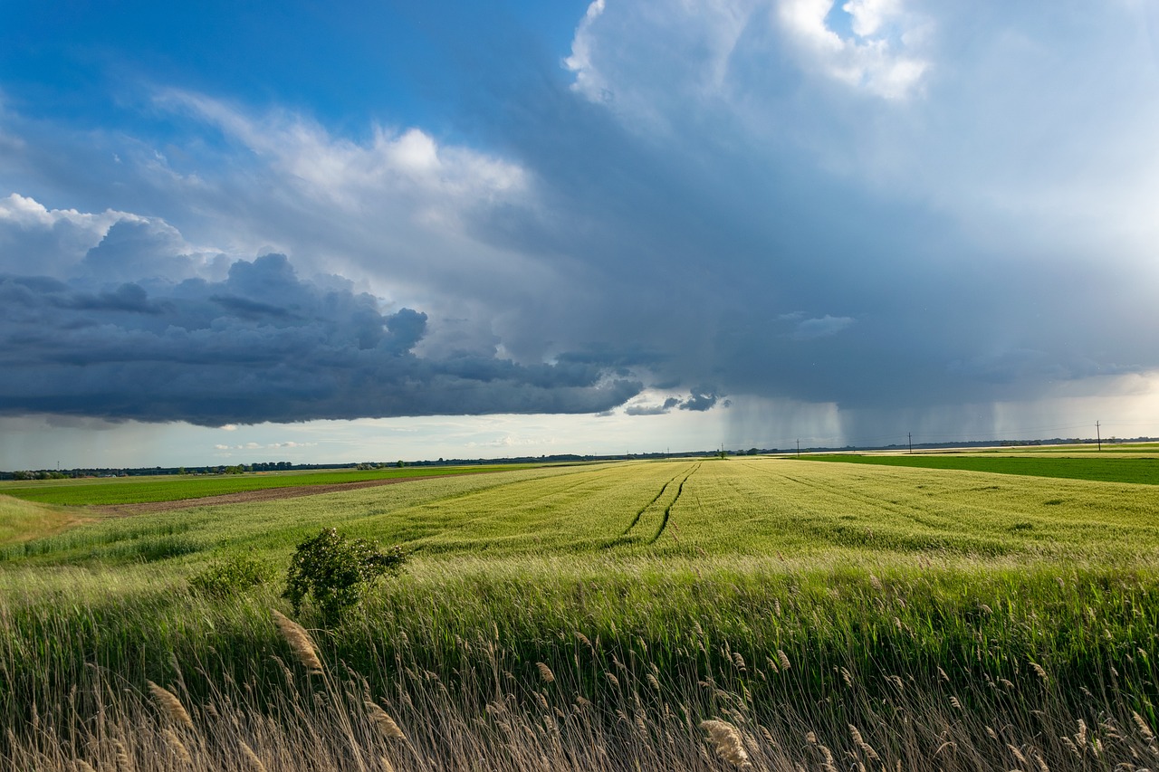 The Evolution of Agriculture and Domestication Practices