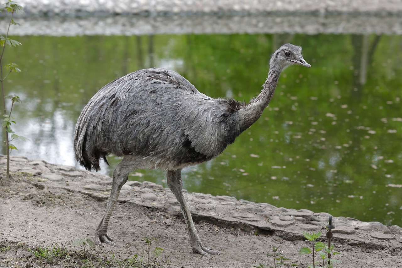 The Titaness Rhea: Mother of Gods and Goddesses